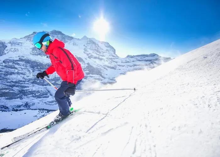 Apartman Allod Park Haus B 403 By Interhome Davos